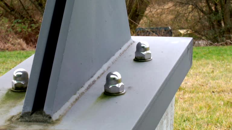 Best Environmental Consulting for Mold Prevention  in Laurel Hollow, NY